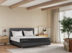 TEMPUR FORM™ Systemrahmen 1500 Mit Gasdruckfeder In Anthrazit -Yamazaki Mobel Geschaft tempur tempur form systemrahmen 1500 mit gasdruckfeder in anthrazit 4